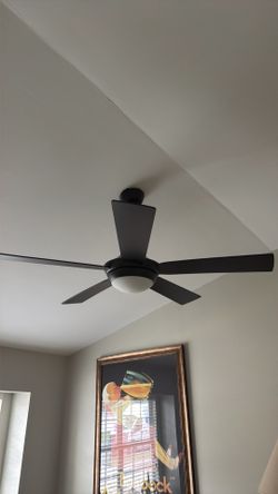Fanimation ceiling fan