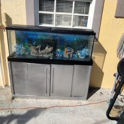 Large Fish Tank