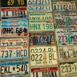 Lot Of 40 License Plates