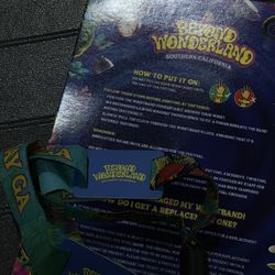 Sat Beyond Wristband 