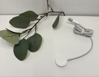APPLE original watch charger