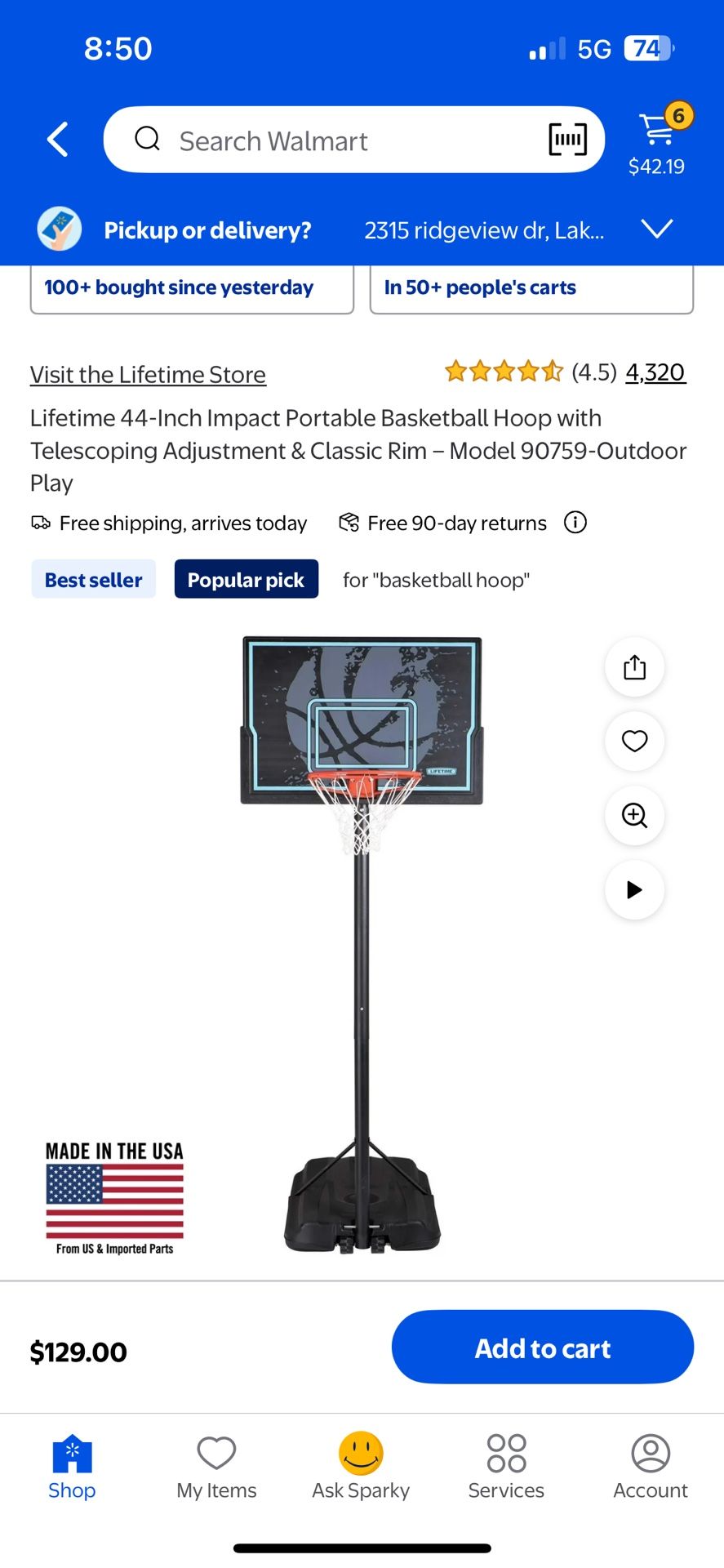 Basketball Goal