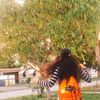 hello / hola