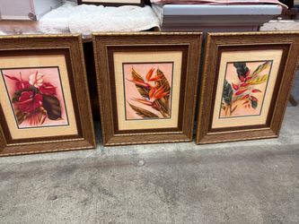 Pictures/3 Pictures/framed pictures/tropical flowers pictures