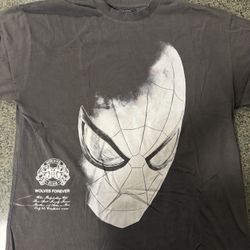 Darc sport Spider-Man With Great Power Collection XL