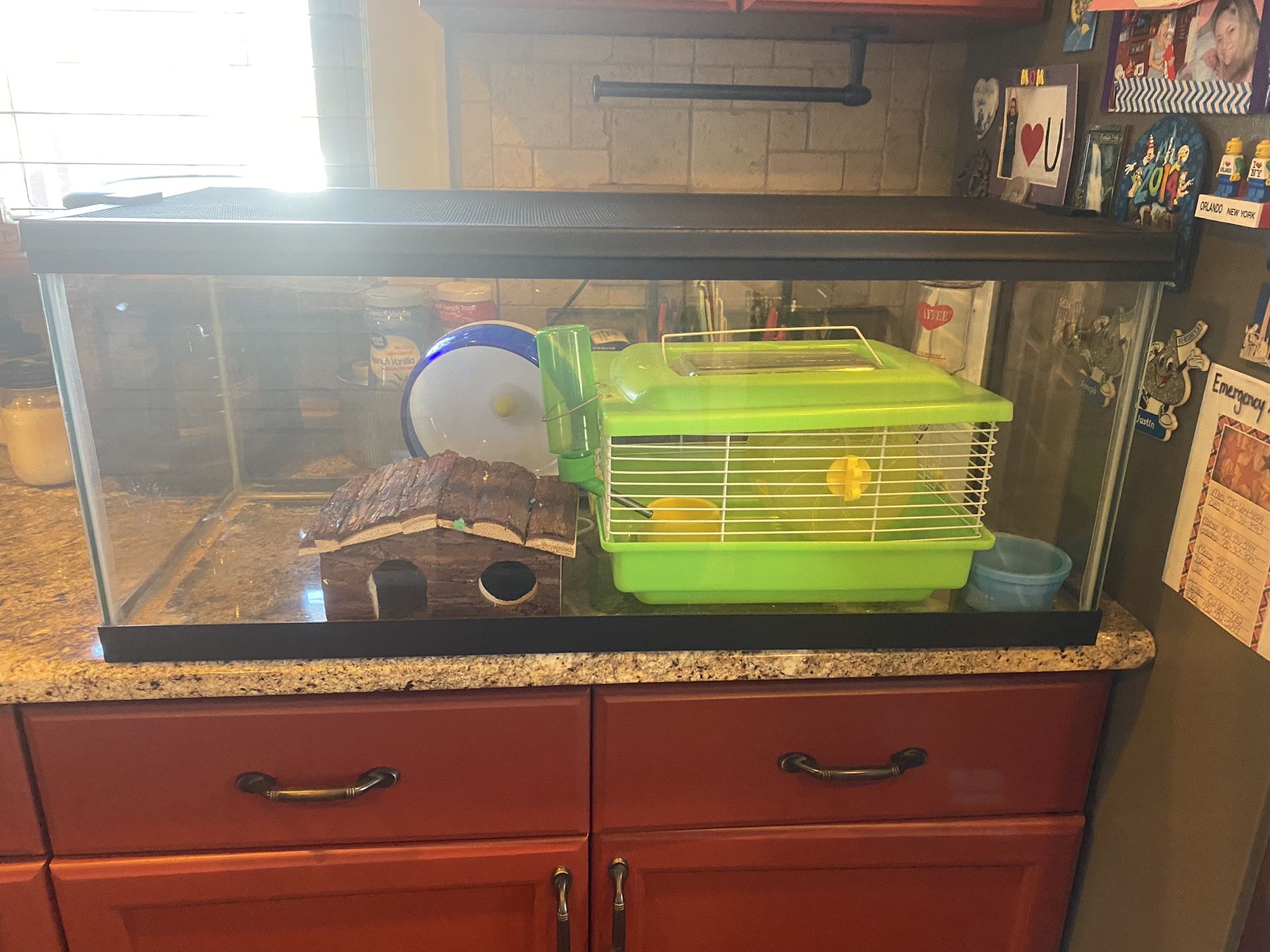 Hamster Case/tank