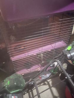 Ferret cage