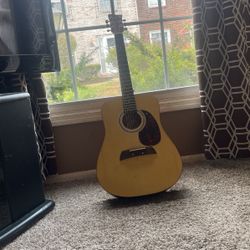Guitar