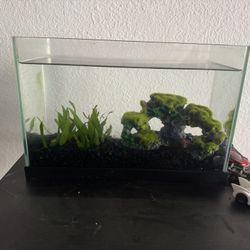 Small Glass Fish Tank with Decorations and Gravel