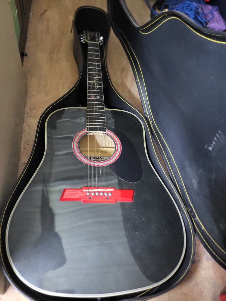 Acoustic Guitar Esteban Impala SS