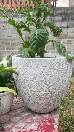 Flower pots