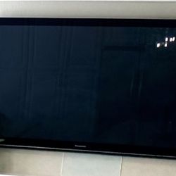 65” Plasma TV