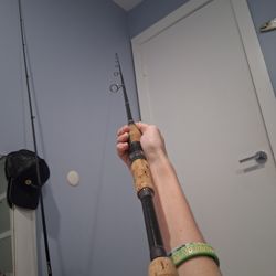 Pflueger Trion Spinning Rod