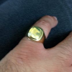 Men's  10k Gold Signet Ring