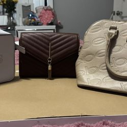 Women Bags