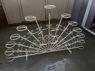 Cake Base