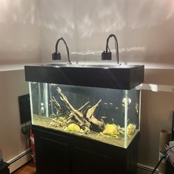 90 Gallon Fish Tank