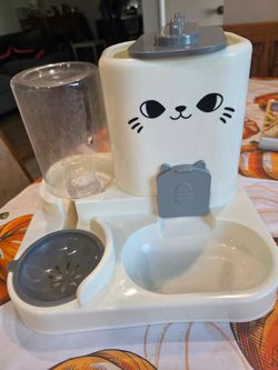 Kitten feeder and water dispenser