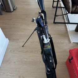 Adult Beginner Set (4 clubs) + Bag