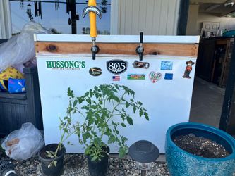 Freezer converted into a kegerator for beer