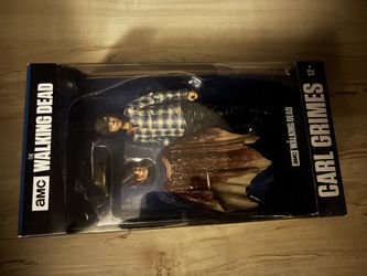 The Walking Dead Carl Grimes