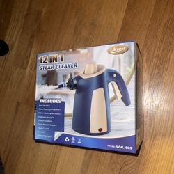 Steam Cleaner