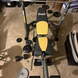 Body Champ Olympic Weight Bench
