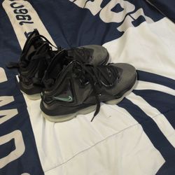 LeBron 16 Only Been Warm Once Excellent Condition No Box Size 13