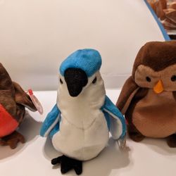 Trio Of Beanie Babies Birds: Early, Rocket & Hoot