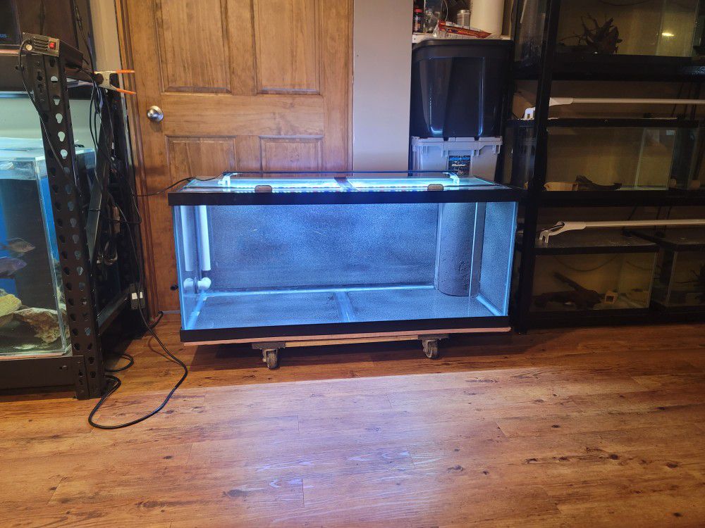 75 Gallon Aquarium/ Fish Tank