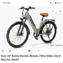 Axiniu Electric Bike