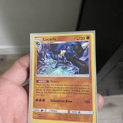 Pokémon Lucario 