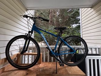 Hybrid Adult Bike