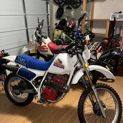 1986 Honda XL 250R 