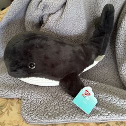Hug Me Whale