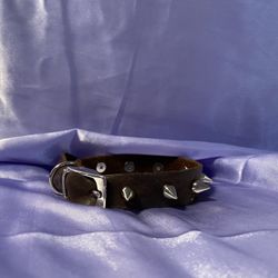Brown leather studded dog collar