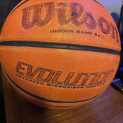 Wilson Evolution Basketball 