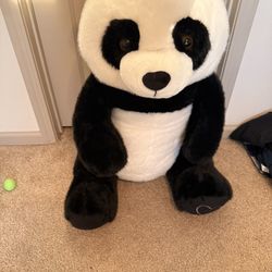 Panda Bear 