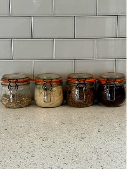 Vintage Clear Glass Canning Jars (Set of 4) – Hinged Mechanical Lids & Orange Gaskets