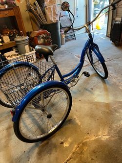 Schwinn Meridian Adult Tryke