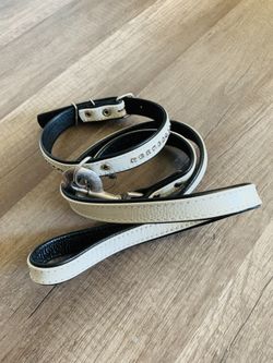 Collar and leash set