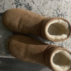 Mini Low Uggs 