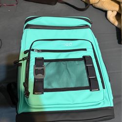 Ice Chest Bag New