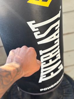 Everlast Punching Bag