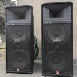 Pair of Peavey SP4G Dual 15 inch woofers