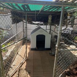 Dog Kennel Or Bird Aviary 6x10