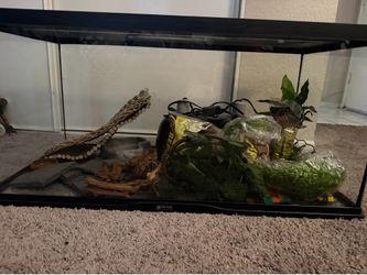 Reptile tank