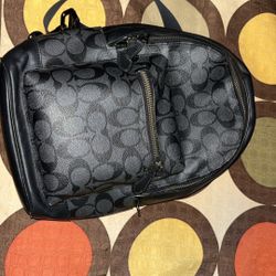 Black Leather Coach Bag 
