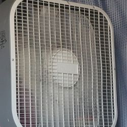 Fan