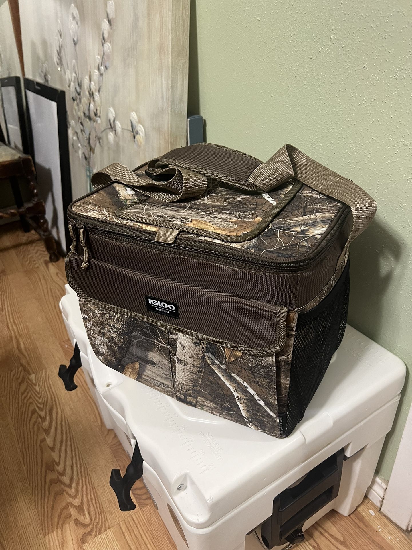 Igloo Cooler